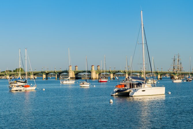 St. Augustine Dolphin Watch and Historical Harbor Tour - The Quiet Cruise Question
