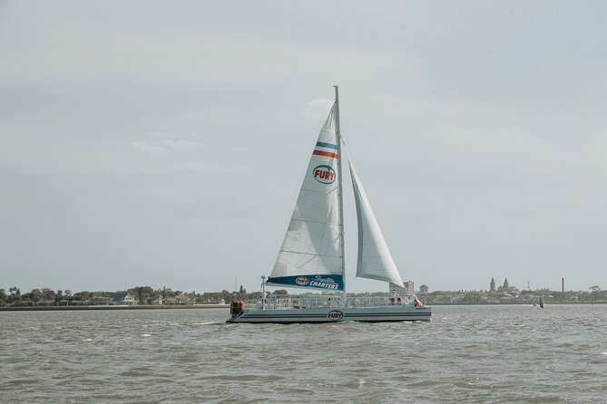 St. Augustine Dolphin Watch and Historical Harbor Tour - Booking Timing, Weather, and Cancellation