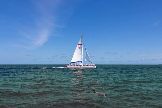 St. Augustine Dolphin Watch and Historical Harbor Tour - Castillo de San Marcos From the Harbor