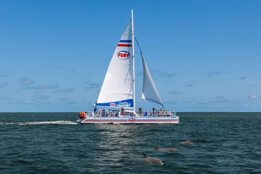 St. Augustine: Dolphin Watching Harbor Tour with Drinks - Key points to know before you book