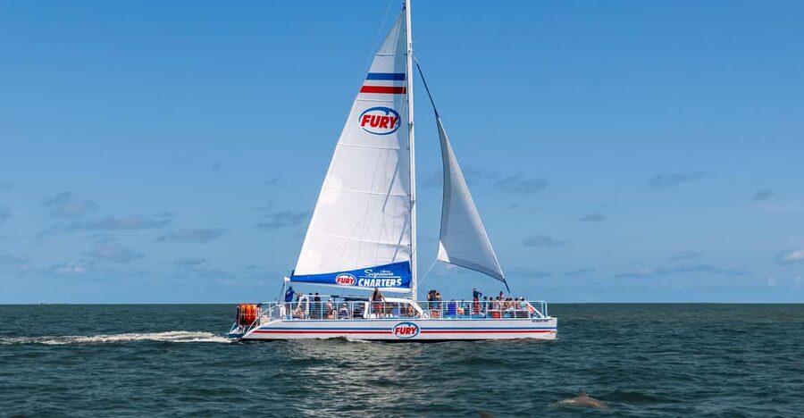 St. Augustine: Dolphin Watching Harbor Tour with Drinks - A 90-minute view of St. Augustine from Vilano Beach