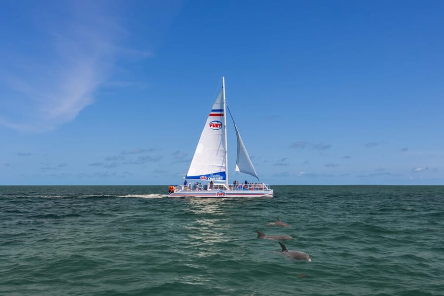 St. Augustine: Dolphin Watching Harbor Tour with Drinks - Who will enjoy this St. Augustine cruise