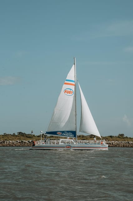 St. Augustine: Dolphin Watching Harbor Tour with Drinks - Is $42 a fair price?