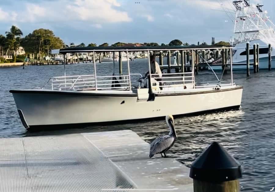 St. Augustine: Sunset Boat Tour with Dolphin Spotting - Why the crew matters on a short tour