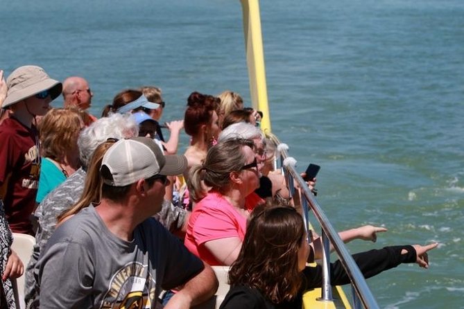 St. Pete Beach Dolphin Racer Adventure - Who will enjoy this most