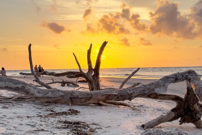 St. Pete Dolphin Watching and Island Sunset Cruise - From Gulfport to the open water