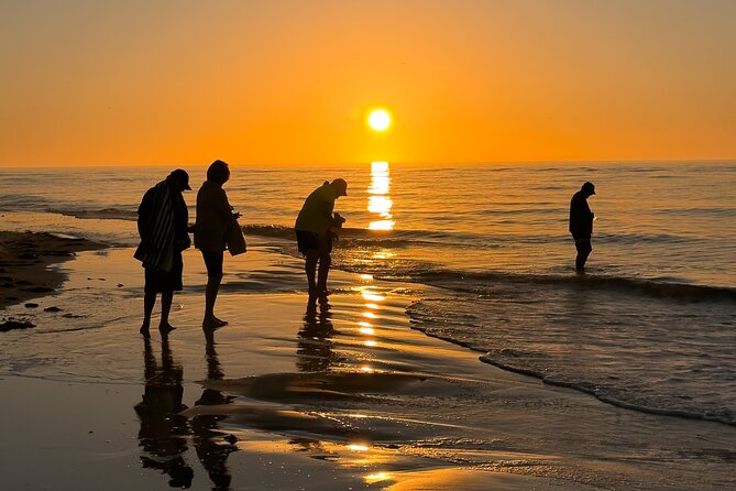 St. Pete Dolphin Watching and Island Sunset Cruise - Shell hunting at Shell Key Preserve