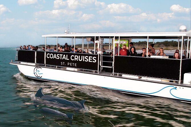 St. Pete Dolphin Watching and Shelling Adventure - Why this three-hour cruise works so well