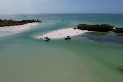 St. Pete Dolphin Watching and Shelling Adventure