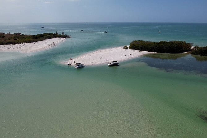 St. Pete Dolphin Watching and Shelling Adventure - The dolphin search is the heart of the ride