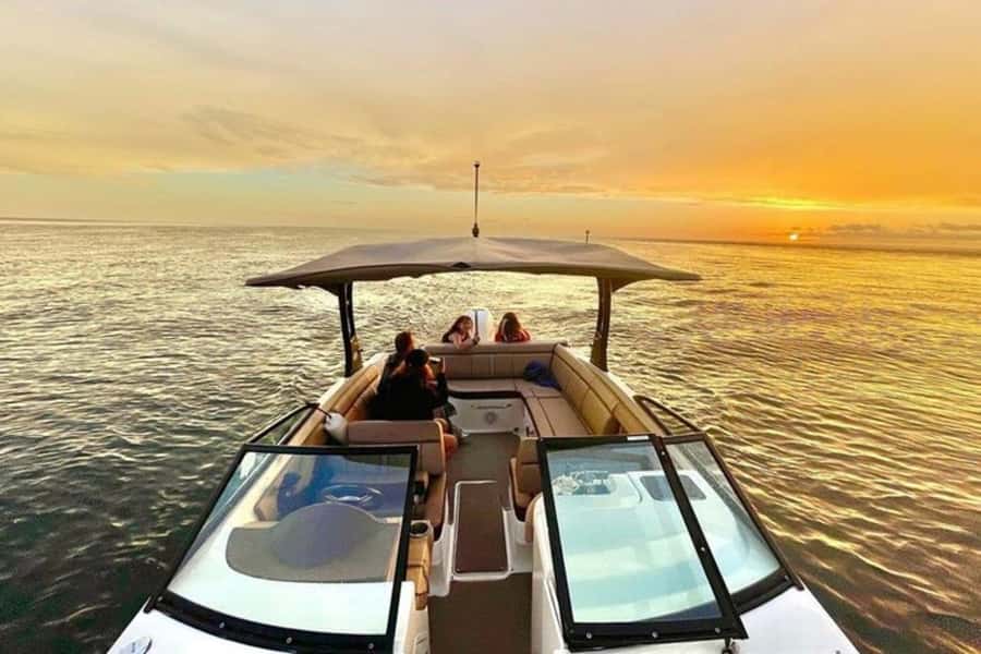 St. Petersburg: Private Barrier Island and Dolphin Boat Tour - A small boat and a wide-open Gulf setting