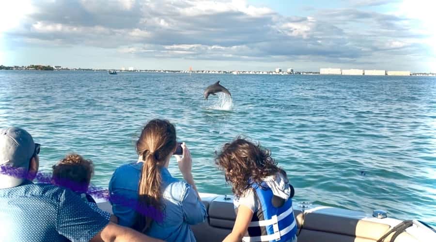 St. Petersburg: Private Barrier Island and Dolphin Boat Tour - What the three-hour schedule feels like