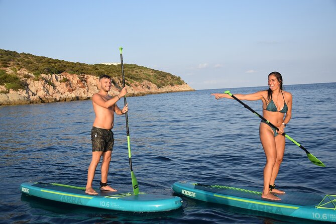 Stand Up Paddle With Dolphins, aperitif and pictures - Dolphin watching with the right expectations