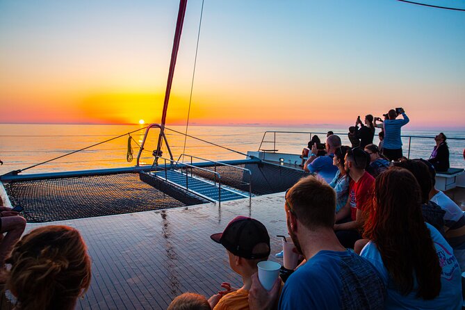 Sunrise Boat Trip in Mallorca with Dolphin-Watching - The real value of the $74.49 price