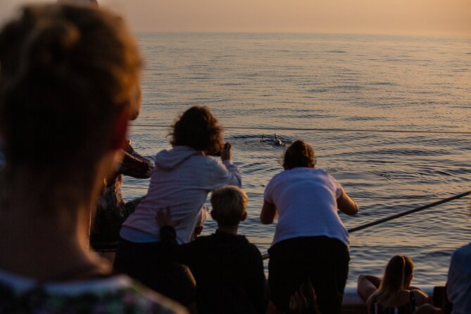 Sunrise Boat Trip in Mallorca with Dolphin-Watching - Weather, route changes, and practical planning
