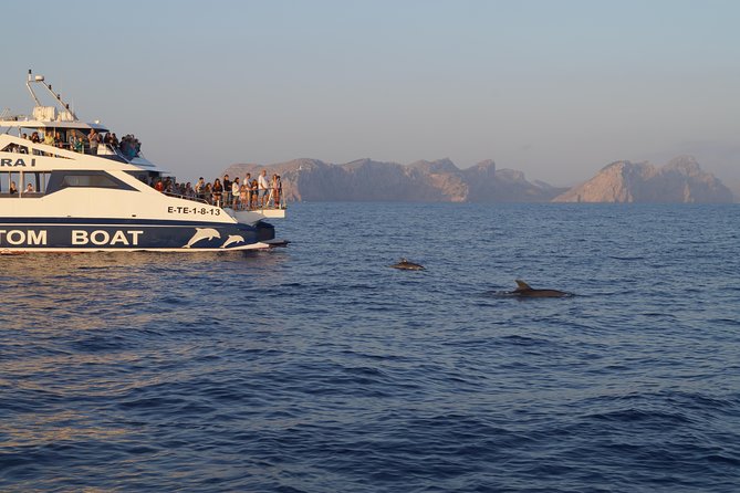 Sunrise Boat Trip in Mallorca with Dolphin-Watching - Who should book this Mallorca morning cruise?