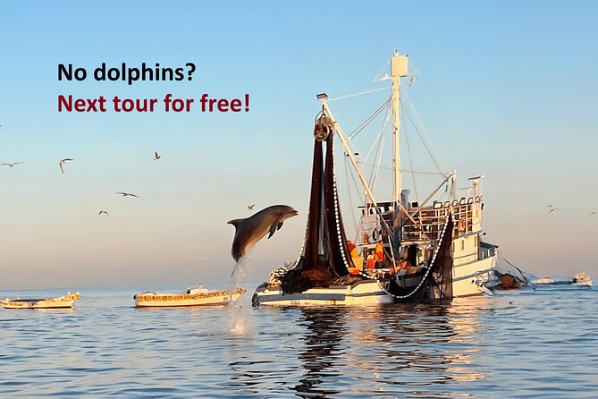 Sunrise Dolphins & Fishermen at Work speedboat tour in Rovinj - Why This Sunrise Trip Feels Different