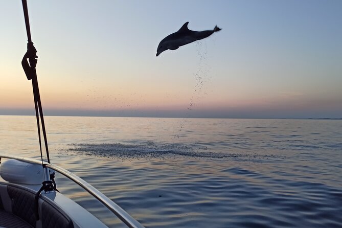 Sunrise Dolphins & Fishermen at Work speedboat tour in Rovinj - Leaving Rovinj Before Sunrise