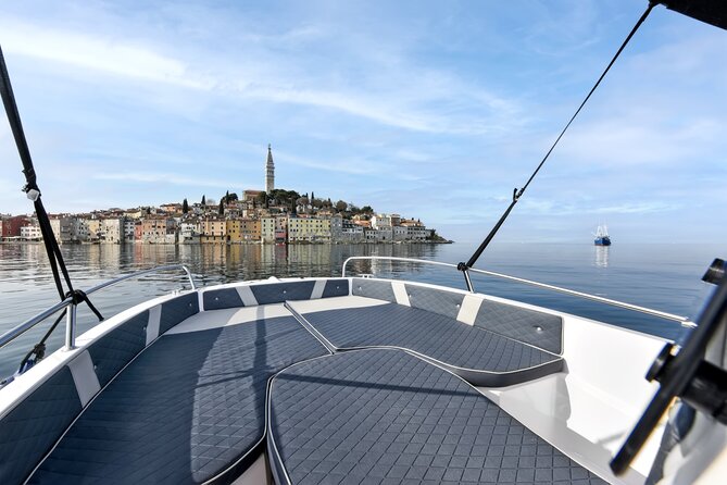 Sunrise Dolphins & Fishermen at Work speedboat tour in Rovinj - What Happens if the Dolphins Do Not Appear