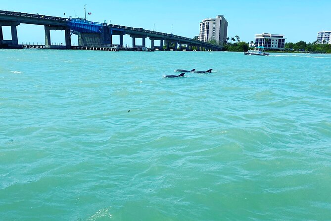 Sunset and Dolphin Cruise around Fort Myers Beach - Returning through San Carlos Bay for sunset