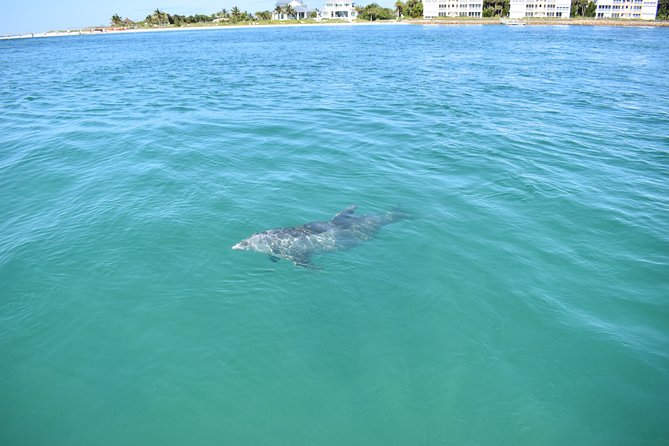 Sunset and Dolphin Cruise around Fort Myers Beach - Why the private boat changes the experience