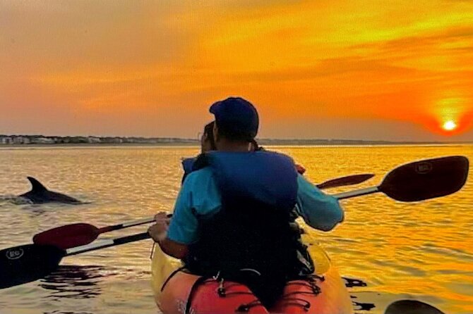Sunset Bioluminescent Comb Jelly & Dolphin Tour - Key points to know before you book