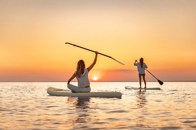 Sunset Bioluminescent Comb Jelly & Dolphin Tour - A sunset paddle with a strange second act