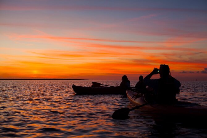 Sunset Bioluminescent Comb Jelly & Dolphin Tour - What the route and meeting point mean for you