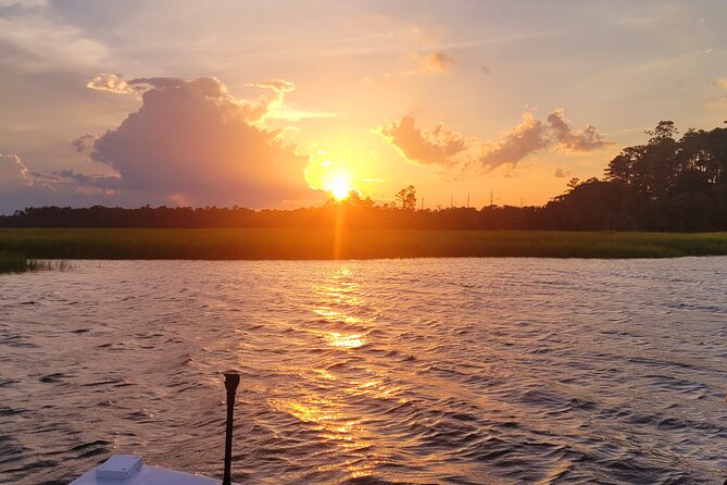 Sunset, Dolphin/Birding On A Private Guided Savannah Cruise - Watching for dolphins in the tidal waterways