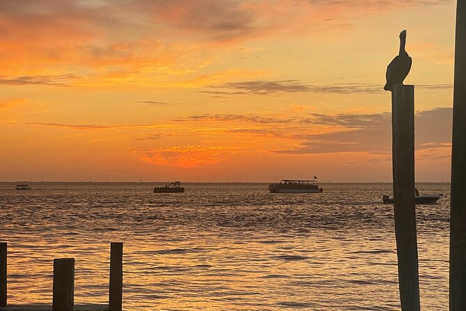 Sunset Dolphin Cruise - A crew that treats the boat like a small party