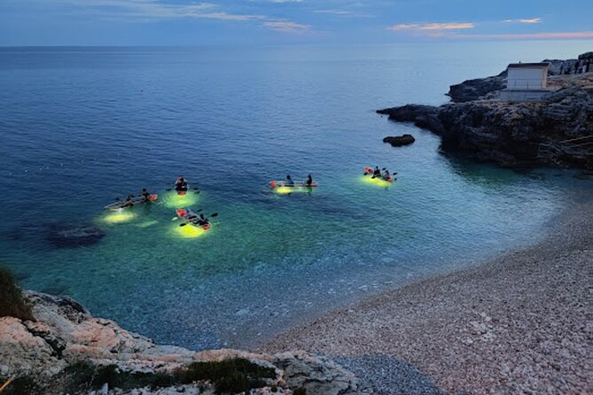 Sunset Dolphin Cruise in Brijuni National Park from Pula - Is $47.93 a fair price?
