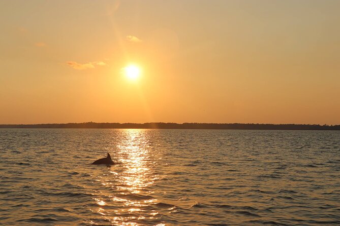 Sunset Dolphin Cruise in Hilton Head - What the $79 price buys you