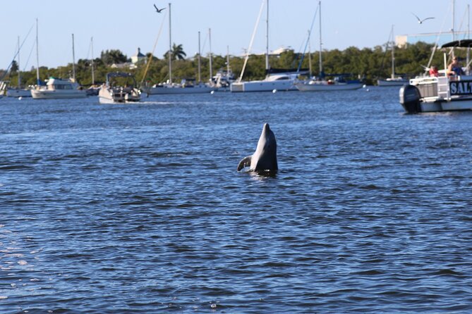Sunset Dolphin Cruise with Sanibel Lighthouse Views - Mound House brings 2,000 years of history into the route