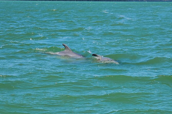 Sunset Dolphin Cruise with Sanibel Lighthouse Views - Leaving Fort Myers Beach with a drink in hand
