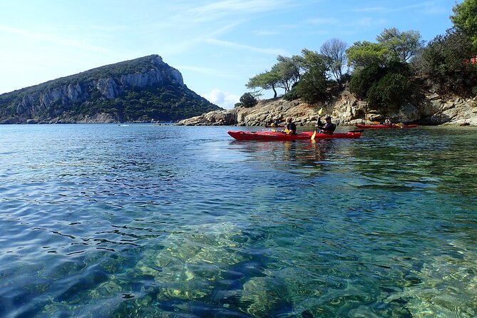 Sunset Dolphin Kayak Tour at Golfo Aranci - Why this Golfo Aranci kayak tour is different