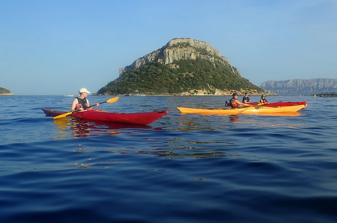 Sunset Dolphin Kayak Tour at Golfo Aranci - The sunset timing and what it adds