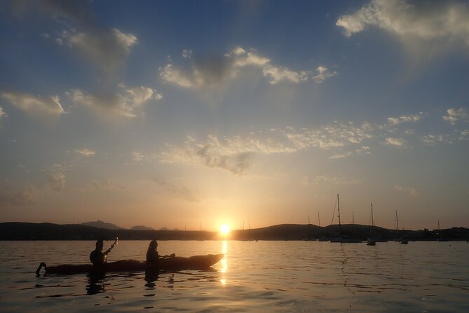 Sunset Dolphin Kayak Tour at Golfo Aranci - How the guide shapes the experience