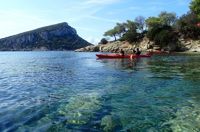 Sunset Dolphin Kayak Tour at Golfo Aranci - Who should book this outing?