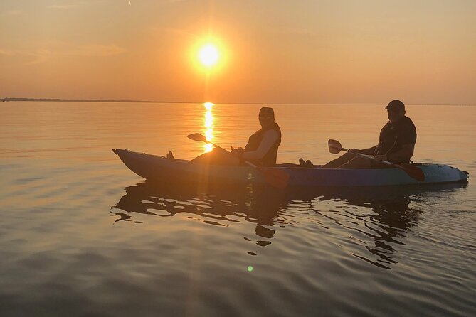 Sunset Dolphin Kayak Tours - Guides, group size, and the pace on the water