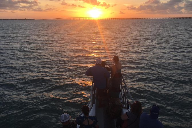 Sunset Dolphin Watch Tour - Why this short Gulf cruise works so well