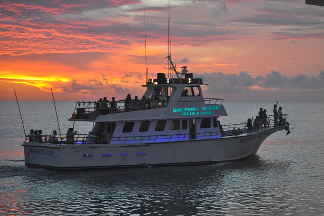 Sunset Dolphin Watch Tour - Finding Atlantic bottlenose dolphins beside the boat