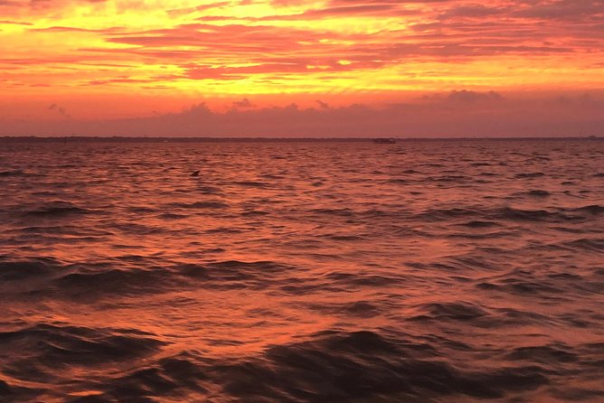 Sunset Dolphin Watching Cruise in Destin Harbor - Who will enjoy this boat ride most