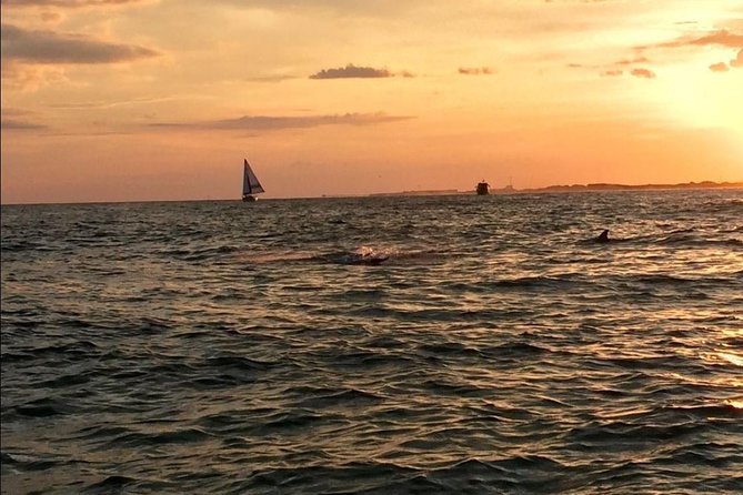 Sunset Dolphin Watching Cruise in Destin Harbor - Forty-five minutes of dolphins, music, and open water