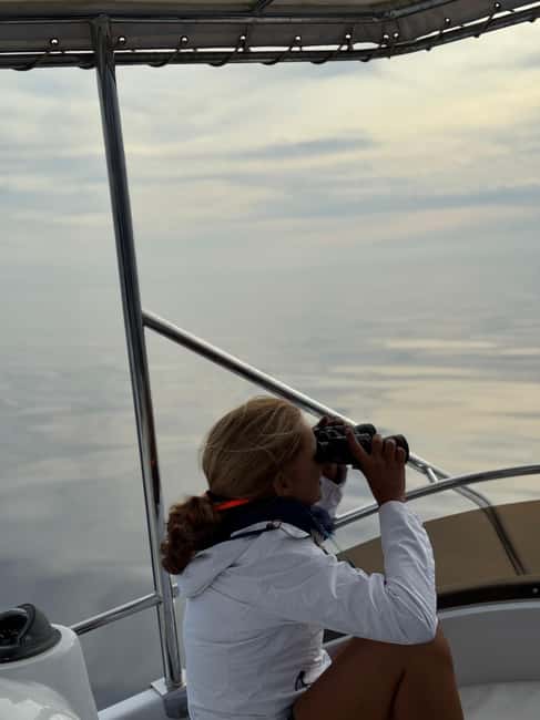 Sunset Dolphin Watching Tour on Hybrid Boat in Small Group - A sunset return with snacks and drinks