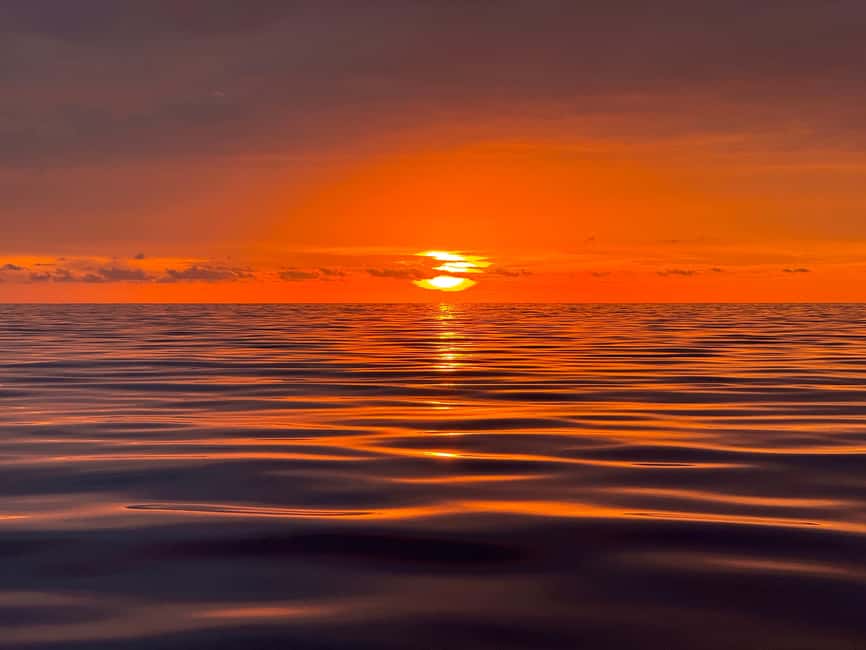 Sunset Dolphin Watching Tour on Hybrid Boat in Small Group - Who will enjoy this cruise most
