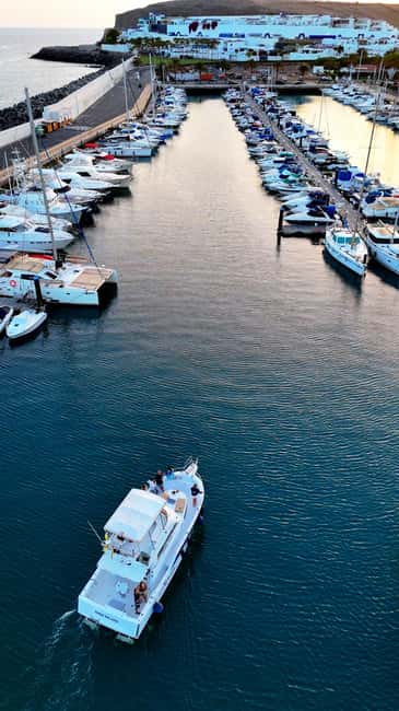 Sunset Dolphin Watching Tour on Hybrid Boat in Small Group - Languages, crew, and the human side