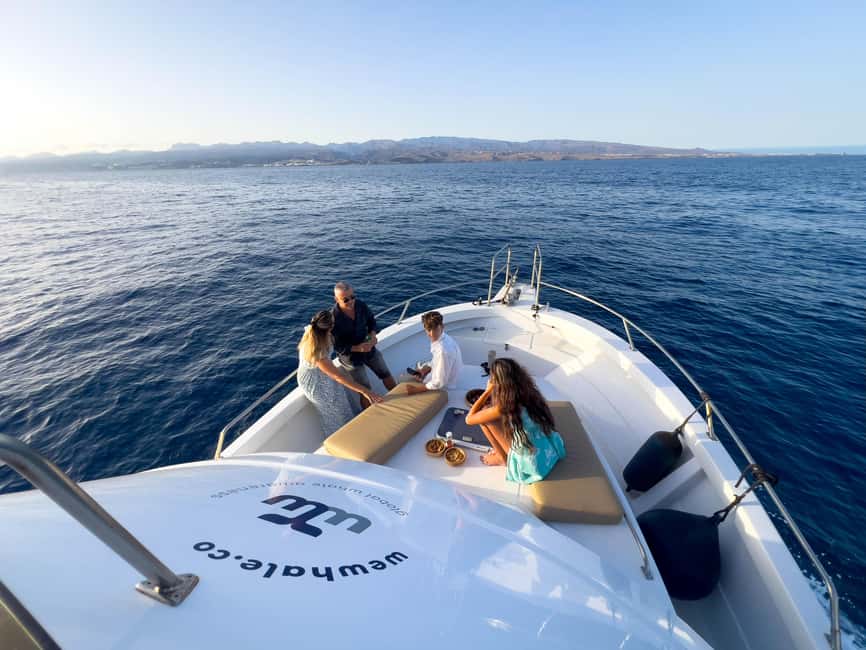 Sunset Dolphin Watching Tour on Hybrid Boat in Small Group - Booking details worth knowing