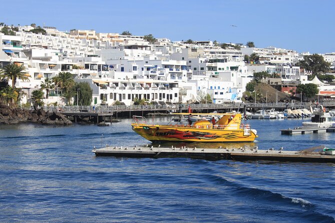 Sunset Dolphin Watching Trip on board the Biosfera Jet - Setting out from Arrecife on the Biosfera Jet