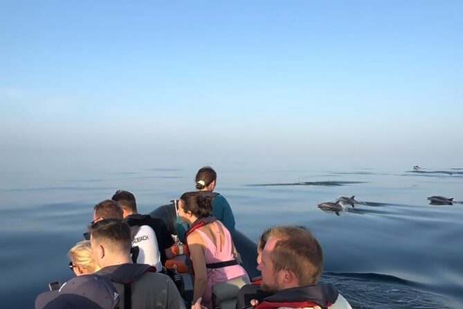 Sunset Dolphin Watching with Marine Biologists - Sunset gives the boat ride a second attraction