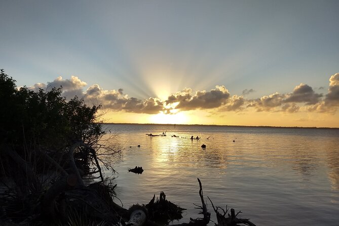 Sunset kayaking tour at Manatee Cove with Manatee & Dolphin sightings - Key points to know before you paddle